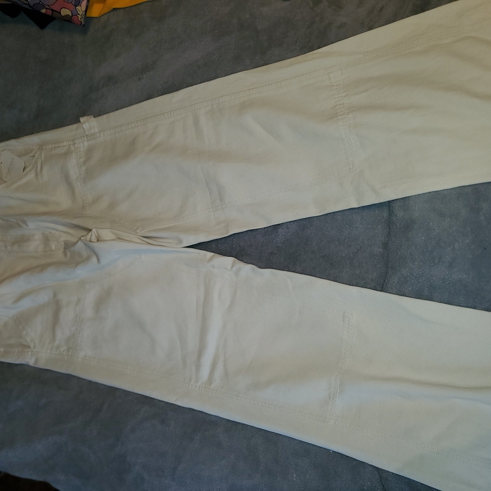 Altard State Pants